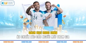 Cách Đọc Odds Châu Âu Chuẩn Xác Cho Người Mới Tham Gia